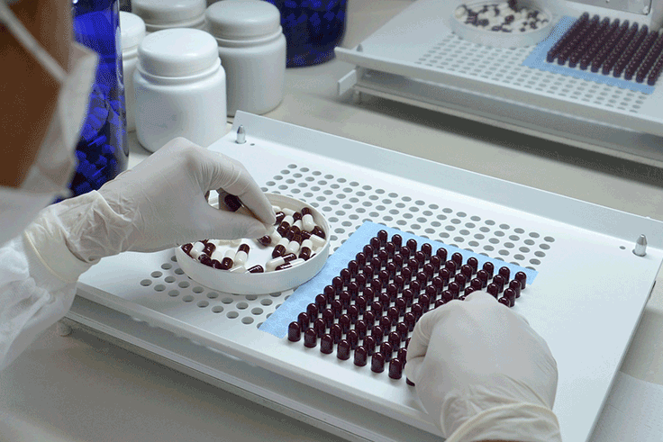 coffee samples being tested in the lab